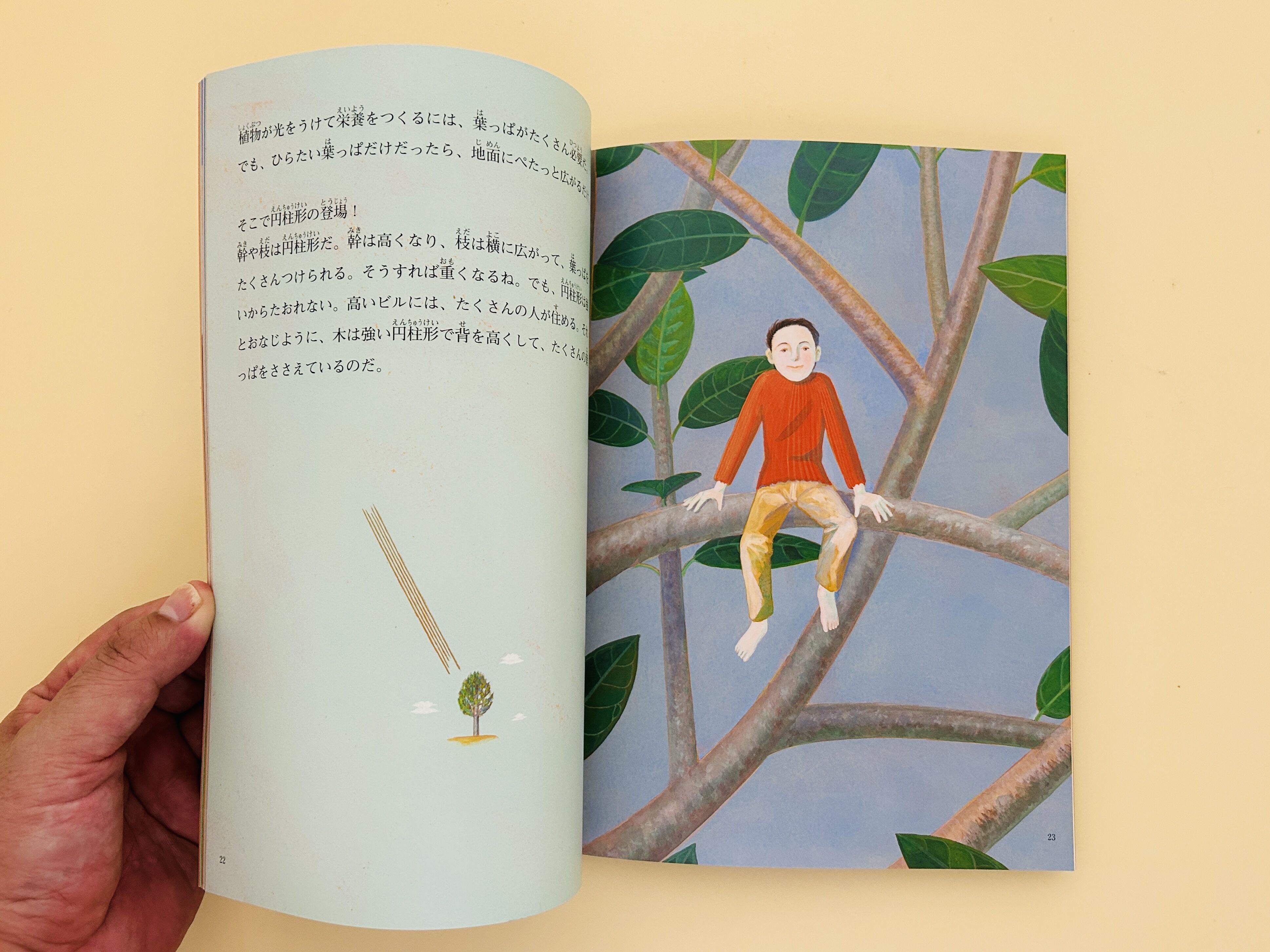たくさんのふしぎ 2004年10月号 絵とき 生きものは円柱形 | 誠光社