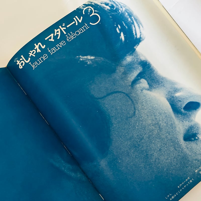 追悼写真集 福澤幸雄の光と影 | 誠光社 通信販売