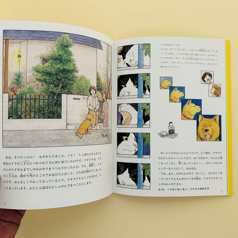 たくさんのふしぎ 1991年10月号 ノラネコの研究 | 誠光社 通信販売