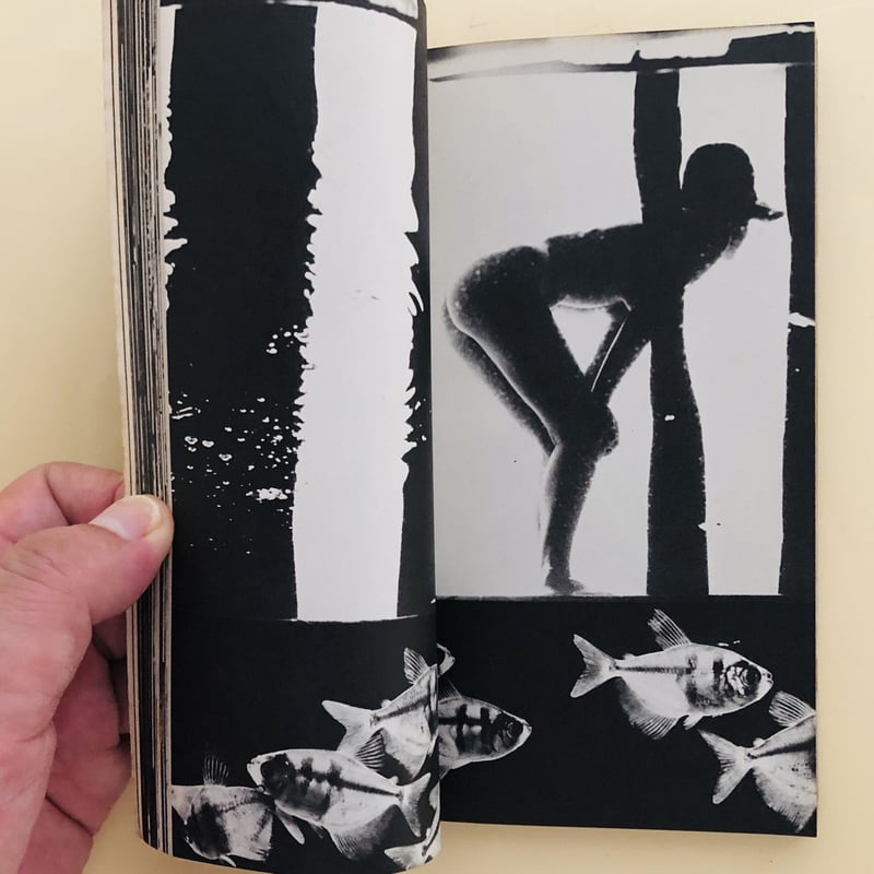 COWBOY KATE & OTHER STORIES（ペーパーバック版） | 誠光社