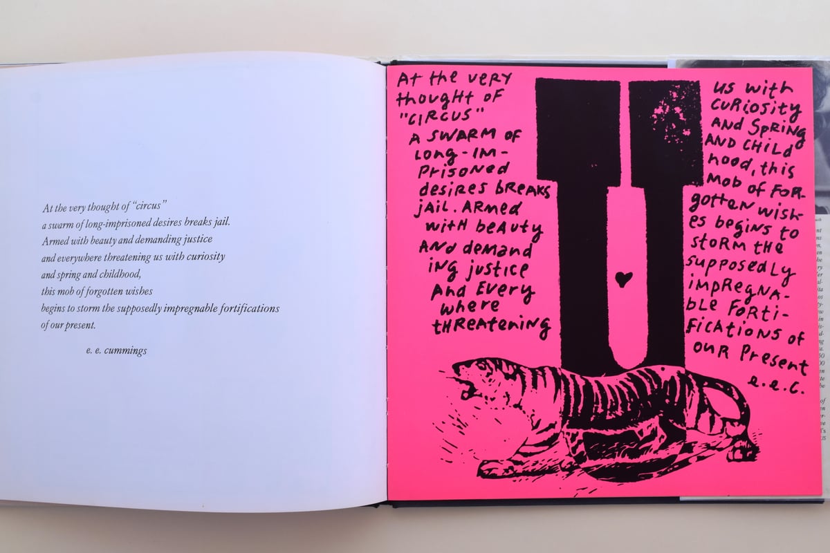 DAMN EVERYTHING BUT THE CIRCUS | 誠光社 通信販売