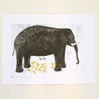 BRUNO MUNARI ポスター "Elephant"