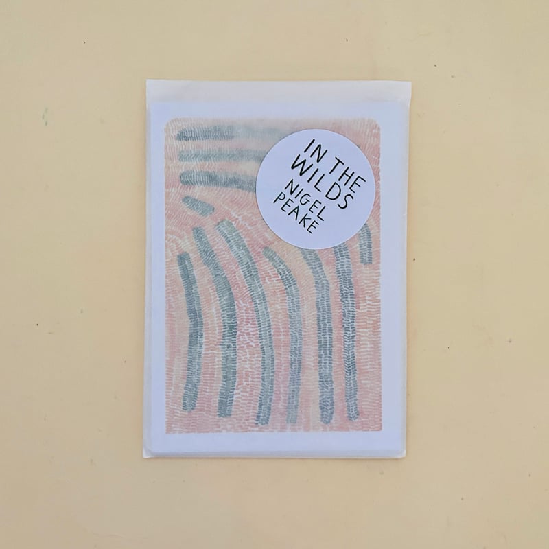 Nigel Peake IN THE WILDS POSTCARD SET | 誠光社 通信販売