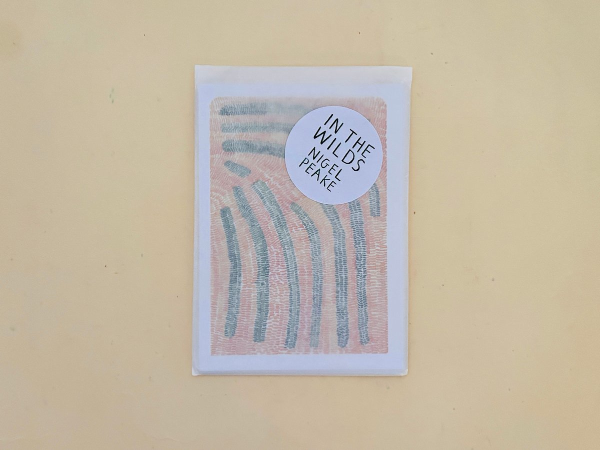 Nigel Peake IN THE WILDS | 誠光社 通信販売