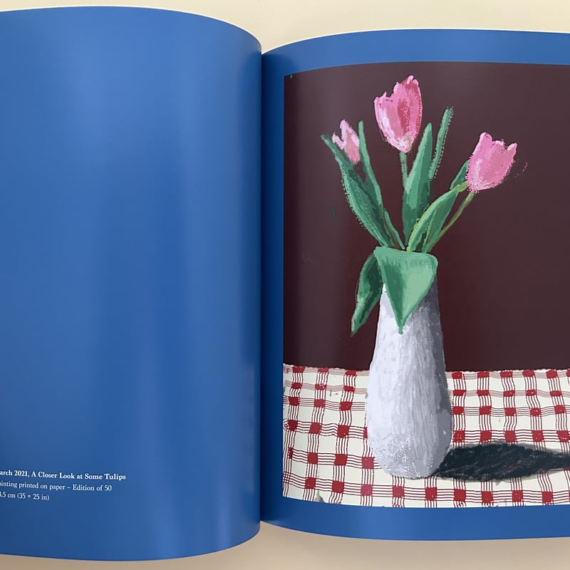 20 FLOWERS AND SOME BIGGER PICTURES | 誠光社 通信販売 20 FLOWERS AND SOME BIGGER PICTURES | 誠光社 通信販売