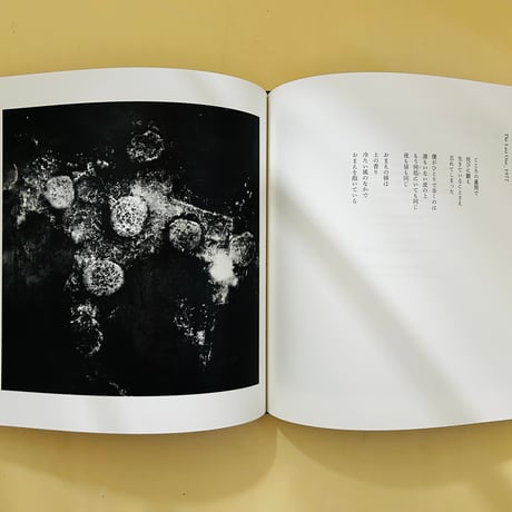 The Last One〈Poésies : Les Rallizes Dénudés〉裸のラリーズ詩集