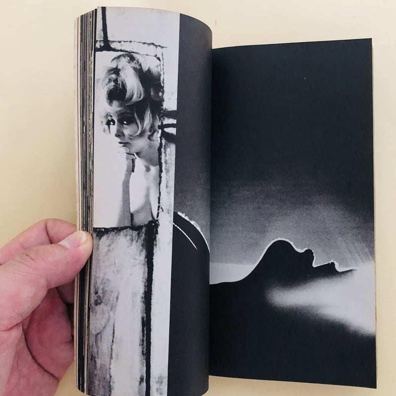 Cowboy Kate & Other Stories 洋書 COWBOY KATE & OTHER STORIES SAM HASKINS | artbookano