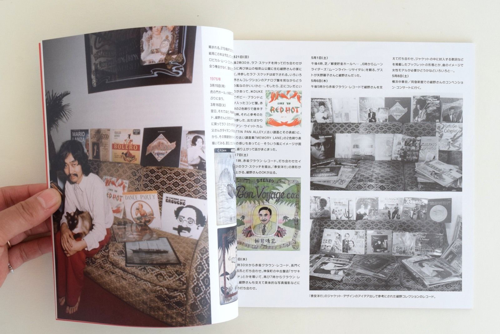 細野晴臣 架空ジャケット画集 Imaginary Record Covers | 誠光社 通信販売