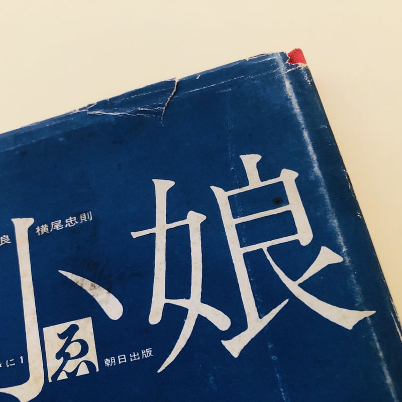 海の小娘 宇野亞喜良 横尾忠則 梶祐輔『海の小娘』復刻 | 888books