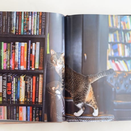 SHOP CATS OF NEW YORK