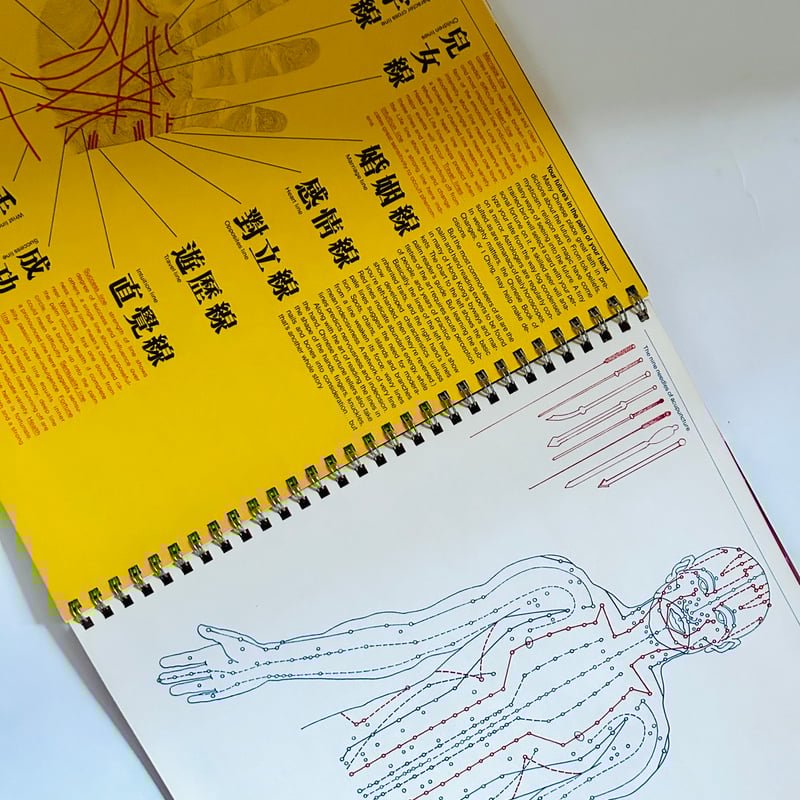 Champion Papers Imagination 北欧　チャンピオン Champion Papers Imagination 北欧 チャンピオン Champion