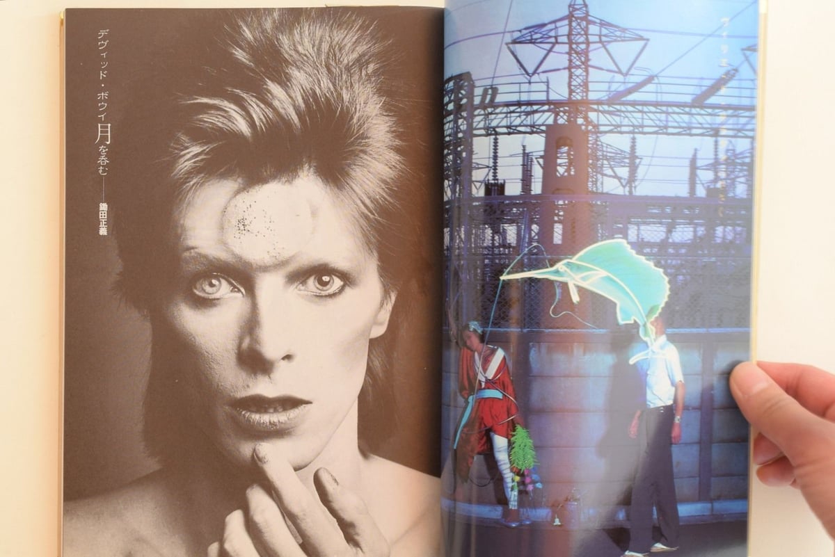 遊ち組「ホモエロス」 | 誠光社 通信販売