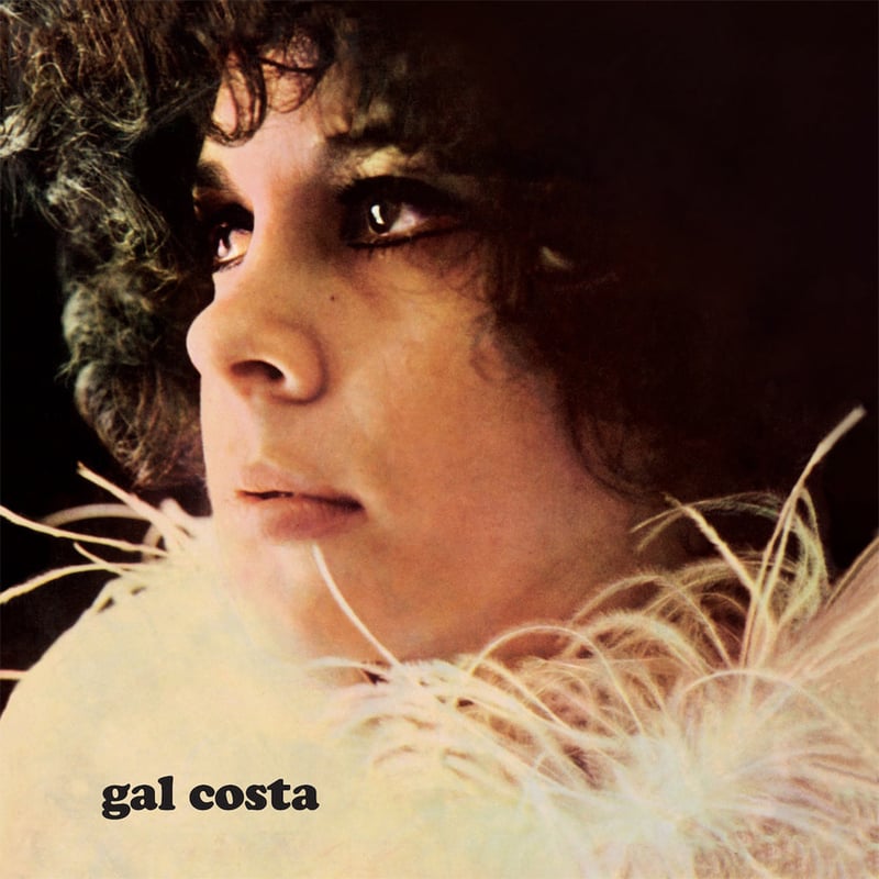 GAL COSTA | 誠光社 通信販売
