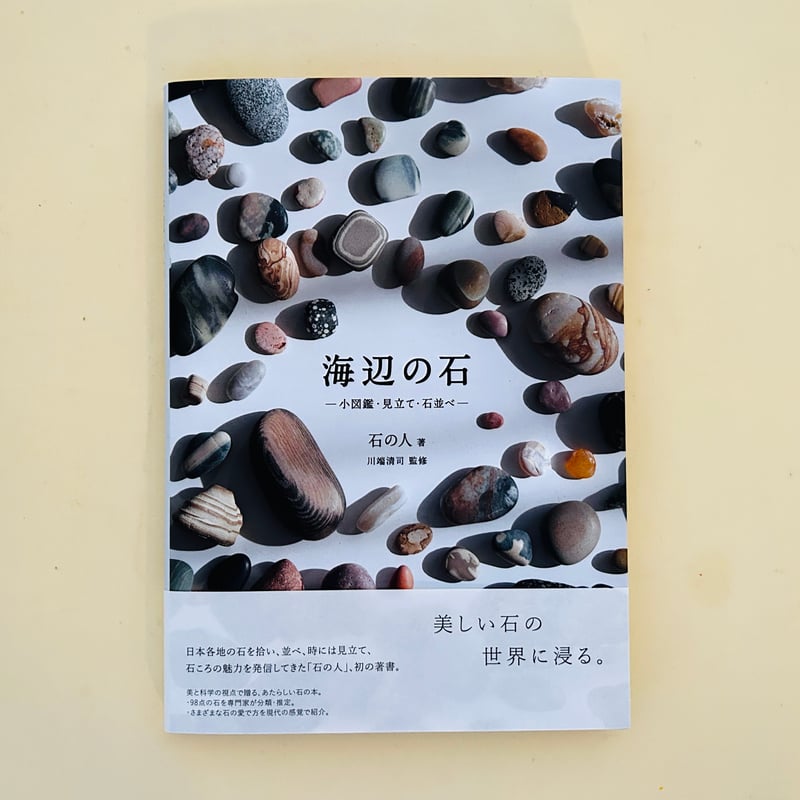 海辺の石 少図鑑・見立て・石並べ | 誠光社 通信販売