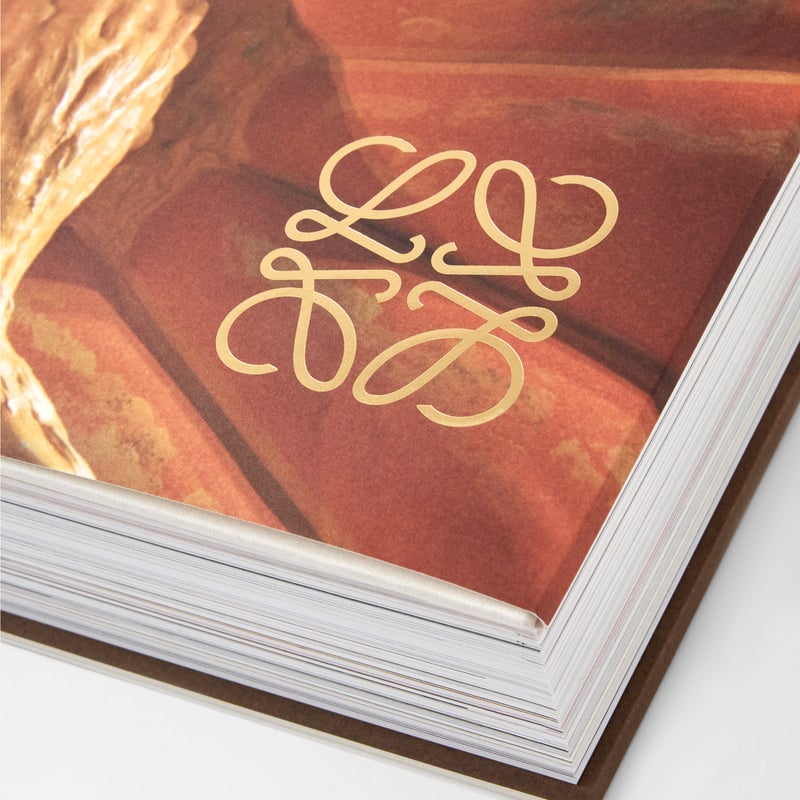 限定 LOEWE BOOK (With original box) アートブック