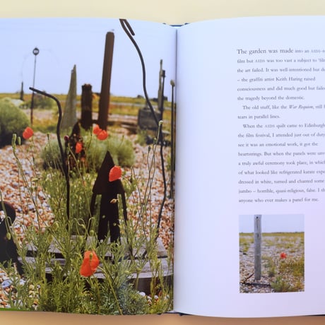 derek jarman's garden