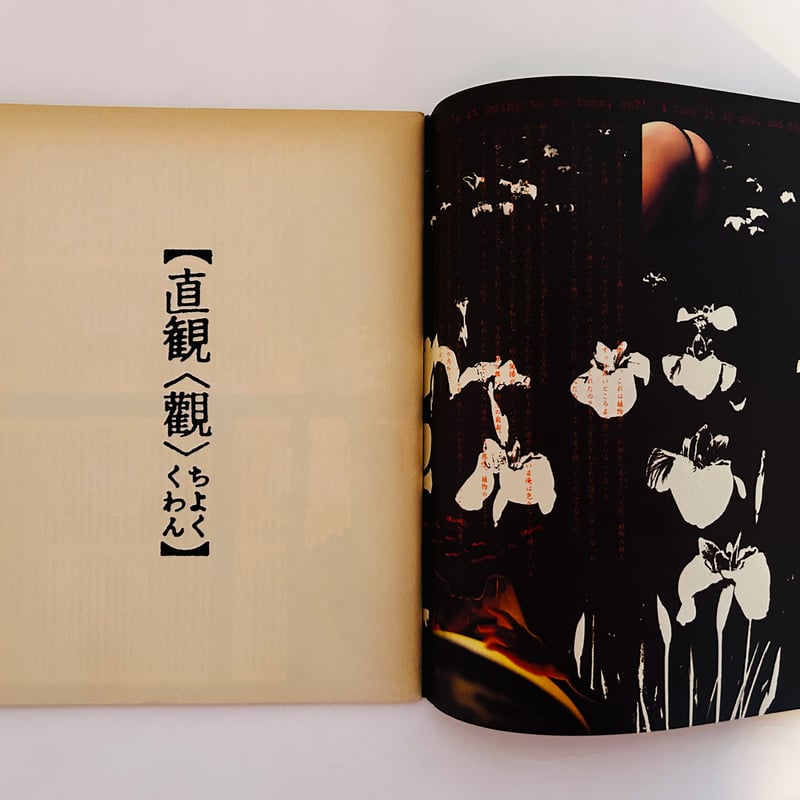 HEAVEN 創刊号　羽良多平吉 HEAVEN(編 : 佐内順一郎 ; カバーデザイン : 羽良多平吉) / 古本