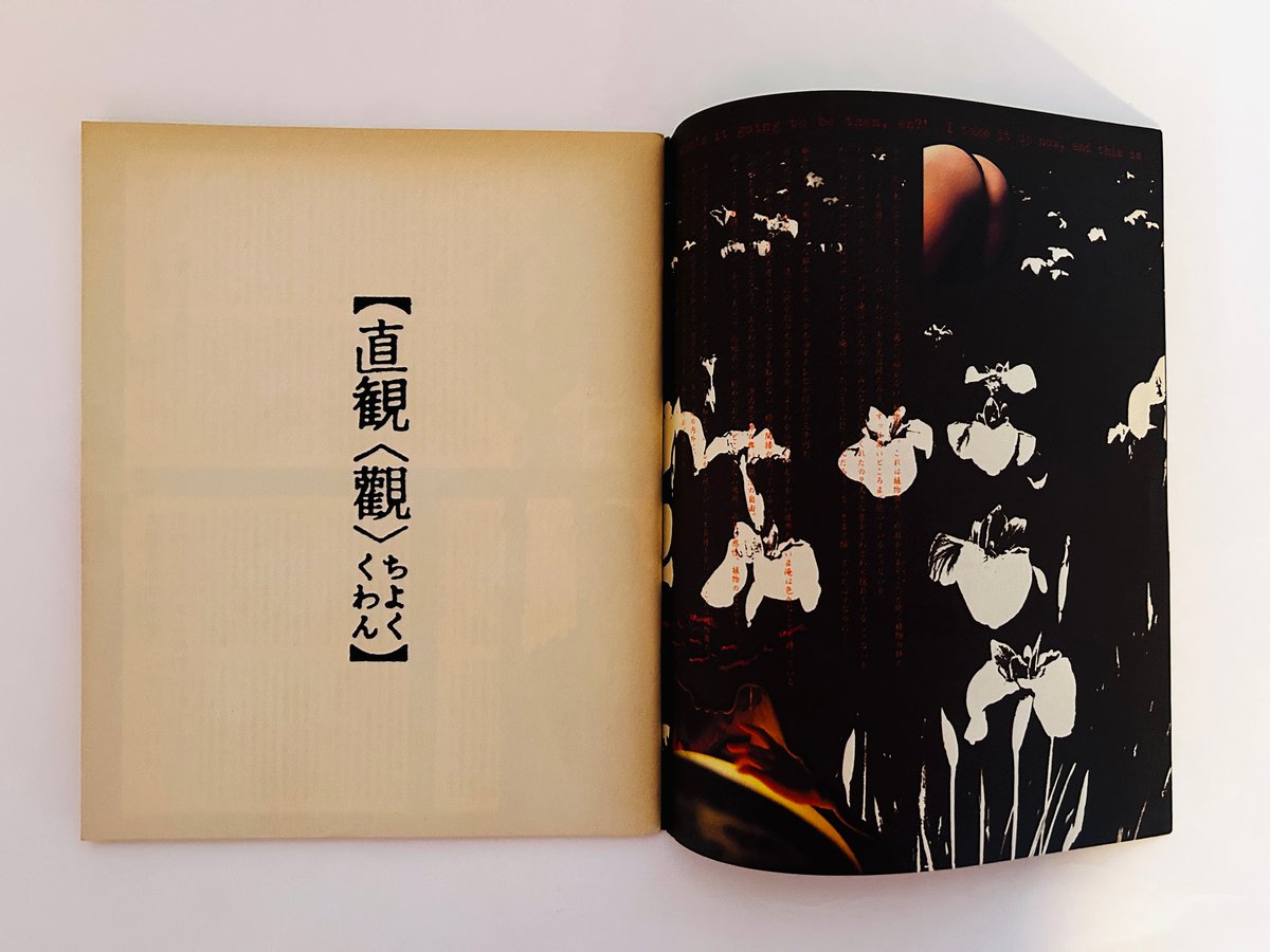 HEAVEN 創刊号 | 誠光社 通信販売