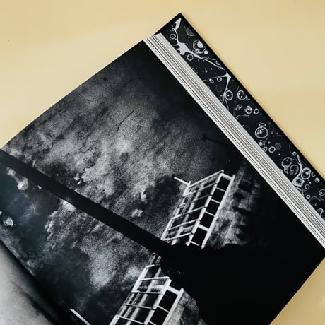 The Last One〈Poésies : Les Rallizes Dénudés〉裸のラリーズ詩集