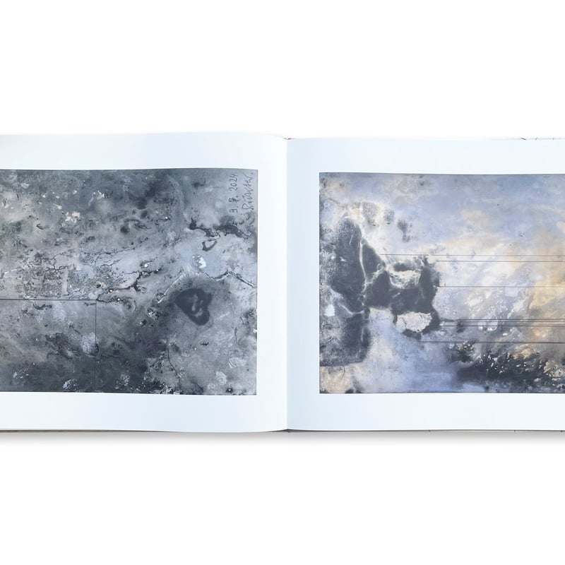 絵画☆彡.。大幅値下げ！！ Amazon.co.jp: 千住博絵柄13種展開「鹿のいる朝」額装 絵 額