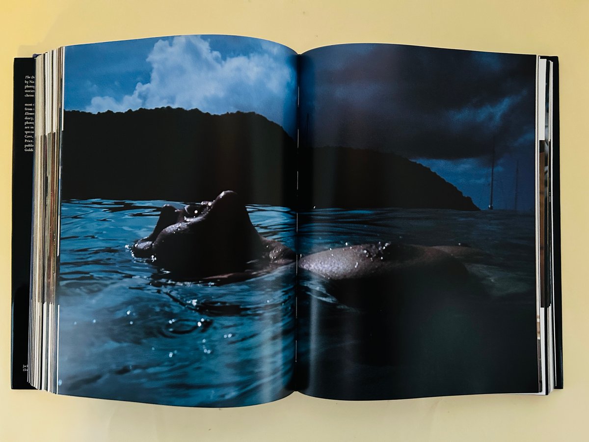 悪魔の遊び場 ナン・ゴールディン 悪魔の遊び場 | ナン・ゴールディン | nostos books ノストス