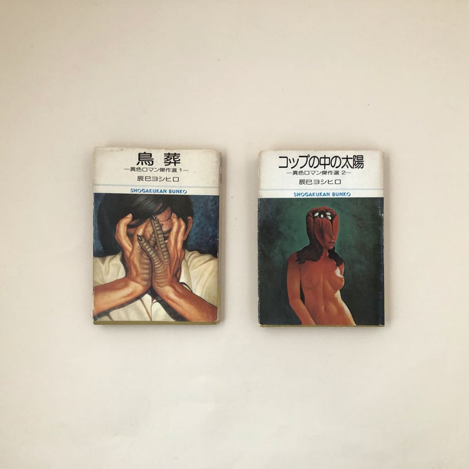 5c933e073207bc79485a1b28
