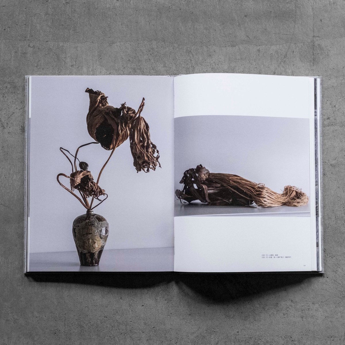 工芸青花 21号 | 誠光社 通信販売