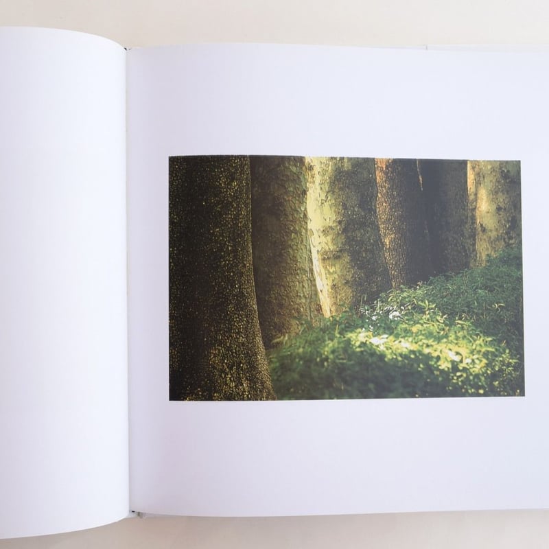 Trees ＆ Crows | 誠光社 通信販売