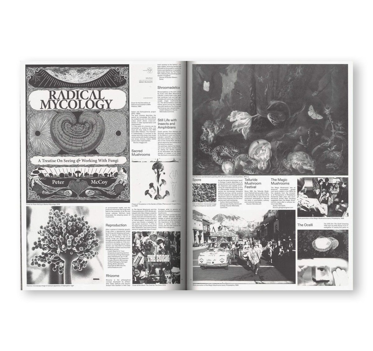 Shelter cookbook | 誠光社 通信販売
