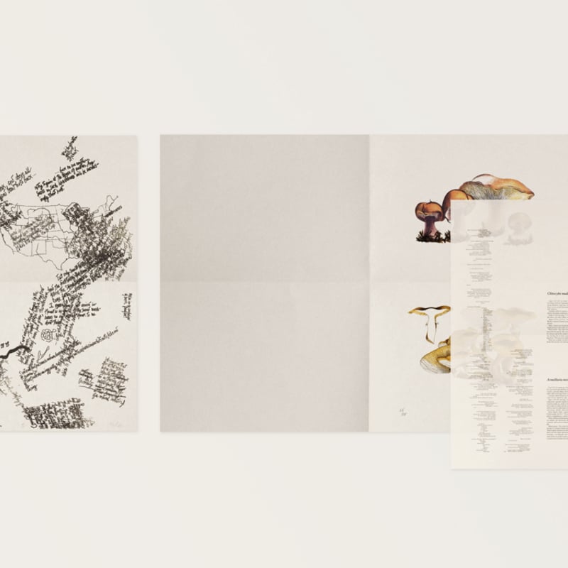 John Cage:A Mycological Foray イラスト　写真集 John Cage:A Mycological Foray イラスト 写真集 【公式通販】