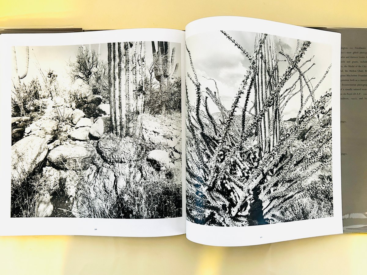 【The Desert Seen】Lee Friedlander　未読、美品 The Desert Seen】Lee Friedlander 未読、美品 Lee Friedlander