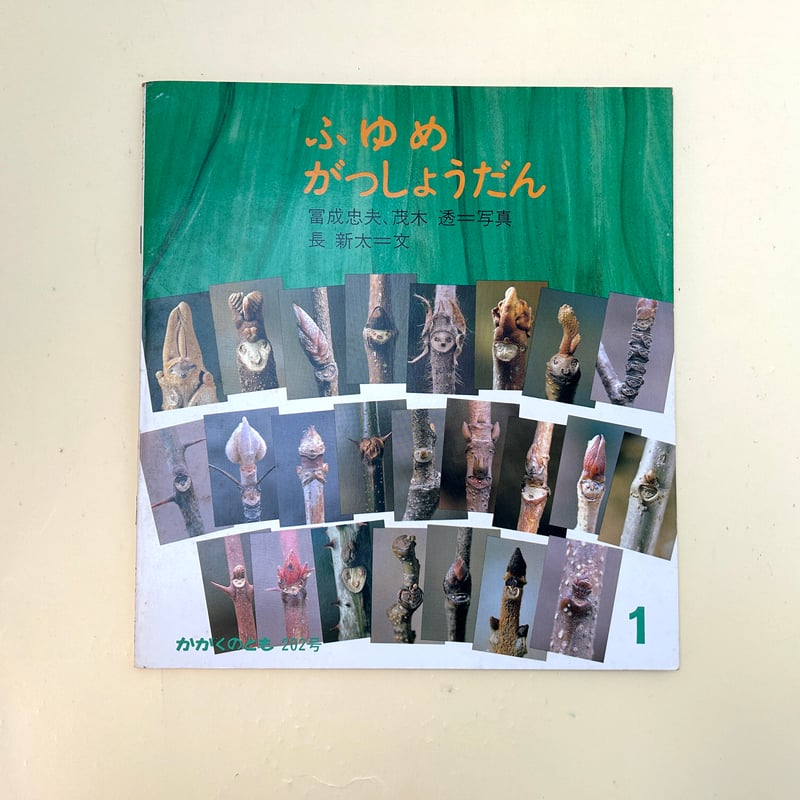 【中古】 端座 句集/文学の森/熊田妙子 生きる言葉 (新潮新書 1083) | 俵 万智 |本 | 通販 | Amazon