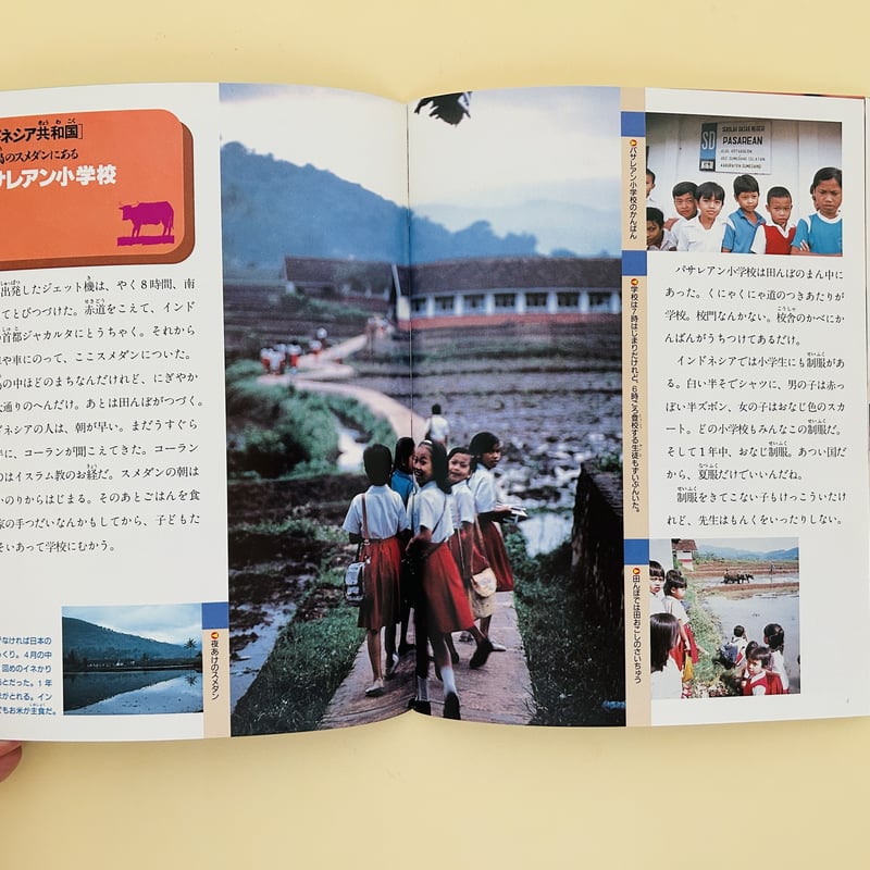 たくさんのふしぎ 1986年4月号 外国の小学校 | 誠光社 通信販売