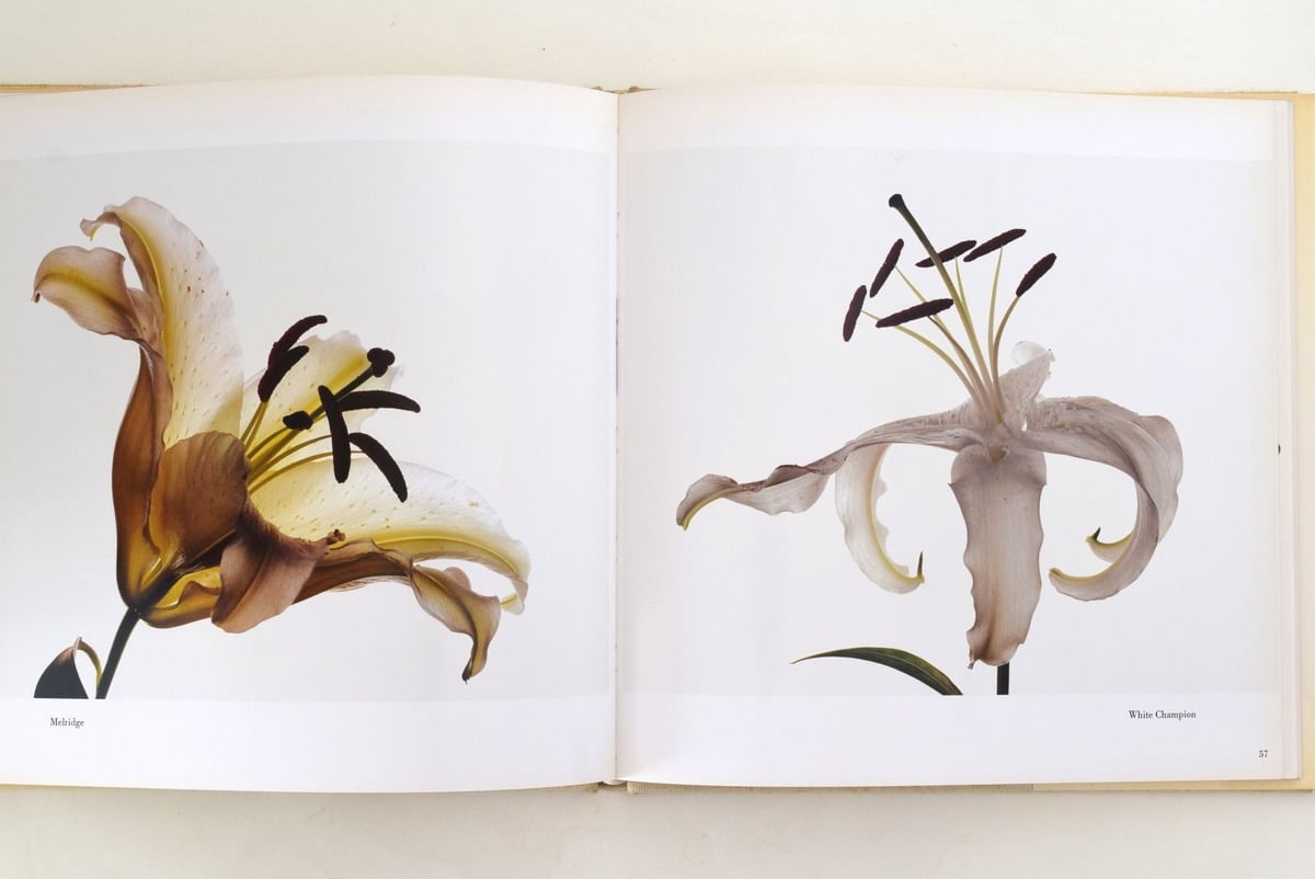 アート・デザイン・音楽 FLOWERS Irving Penn アート・デザイン・音楽 FLOWERS Irving Penn Flowers Irving