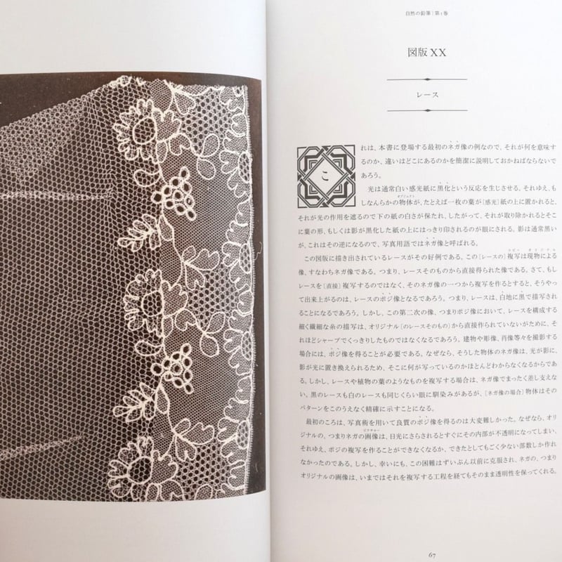 自然の鉛筆 | 誠光社 通信販売