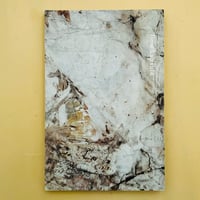 OBJECT CHANDIGARH | 誠光社 通信販売