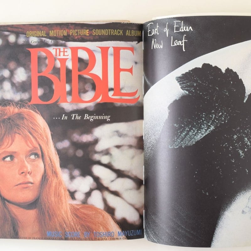 天地創造計画 | 誠光社 通信販売