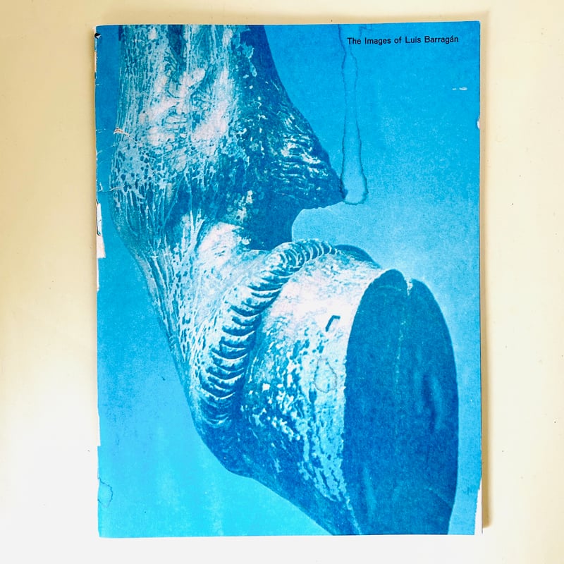 The Images of Luis Barragan | 誠光社 通信販売