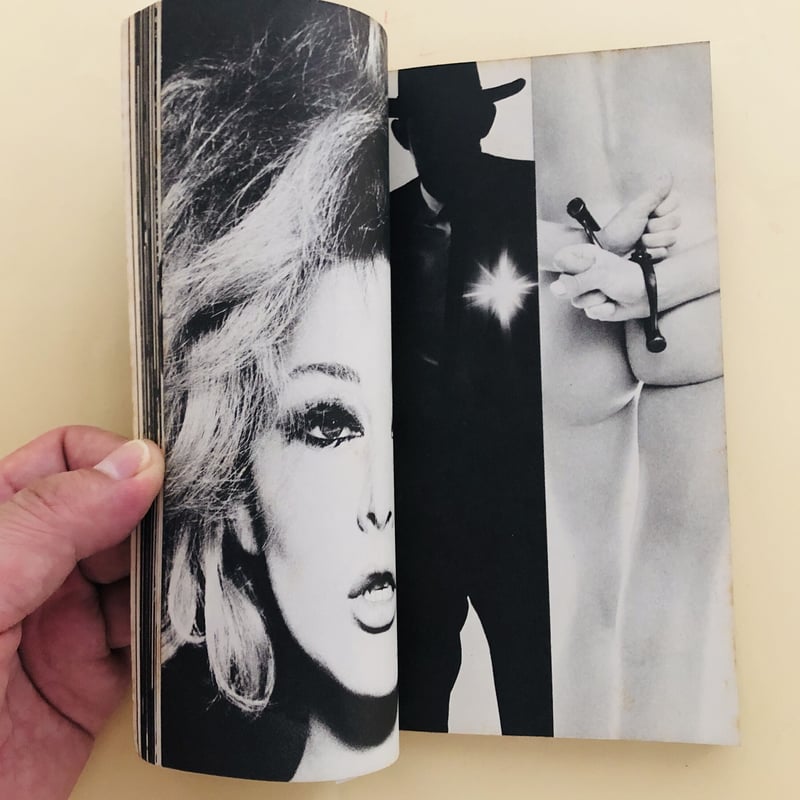 Cowboy Kate & Other Stories 洋書 COWBOY KATE & OTHER STORIES SAM HASKINS | artbookano