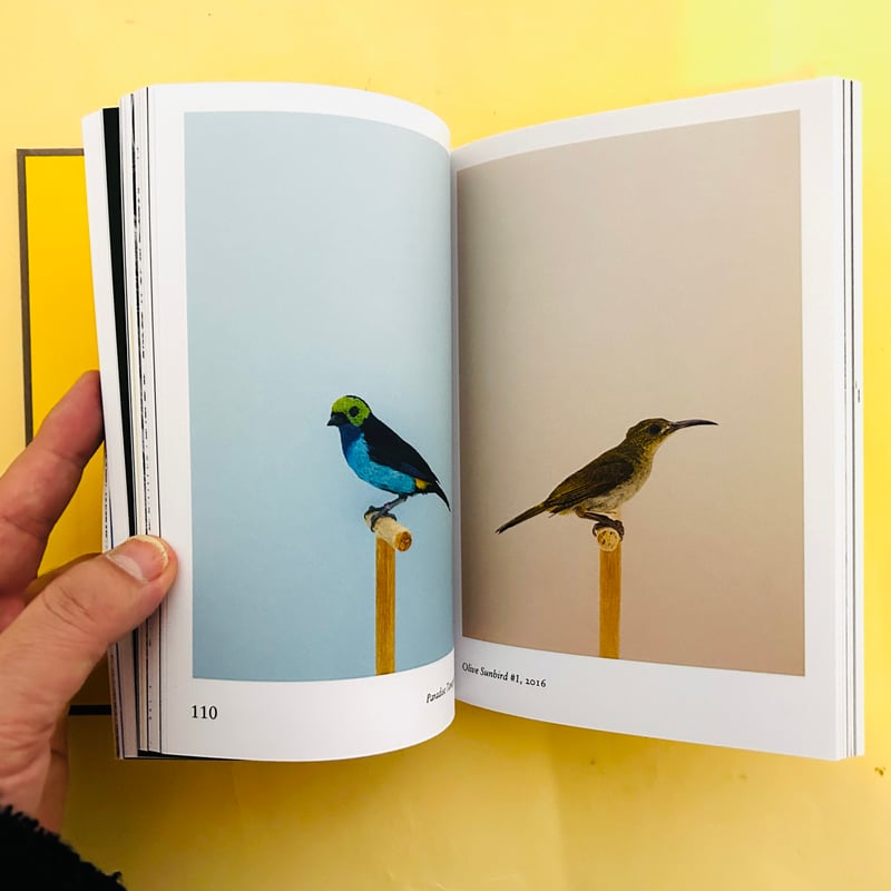 New Photography of the Bird. | 誠光社 通信販売
