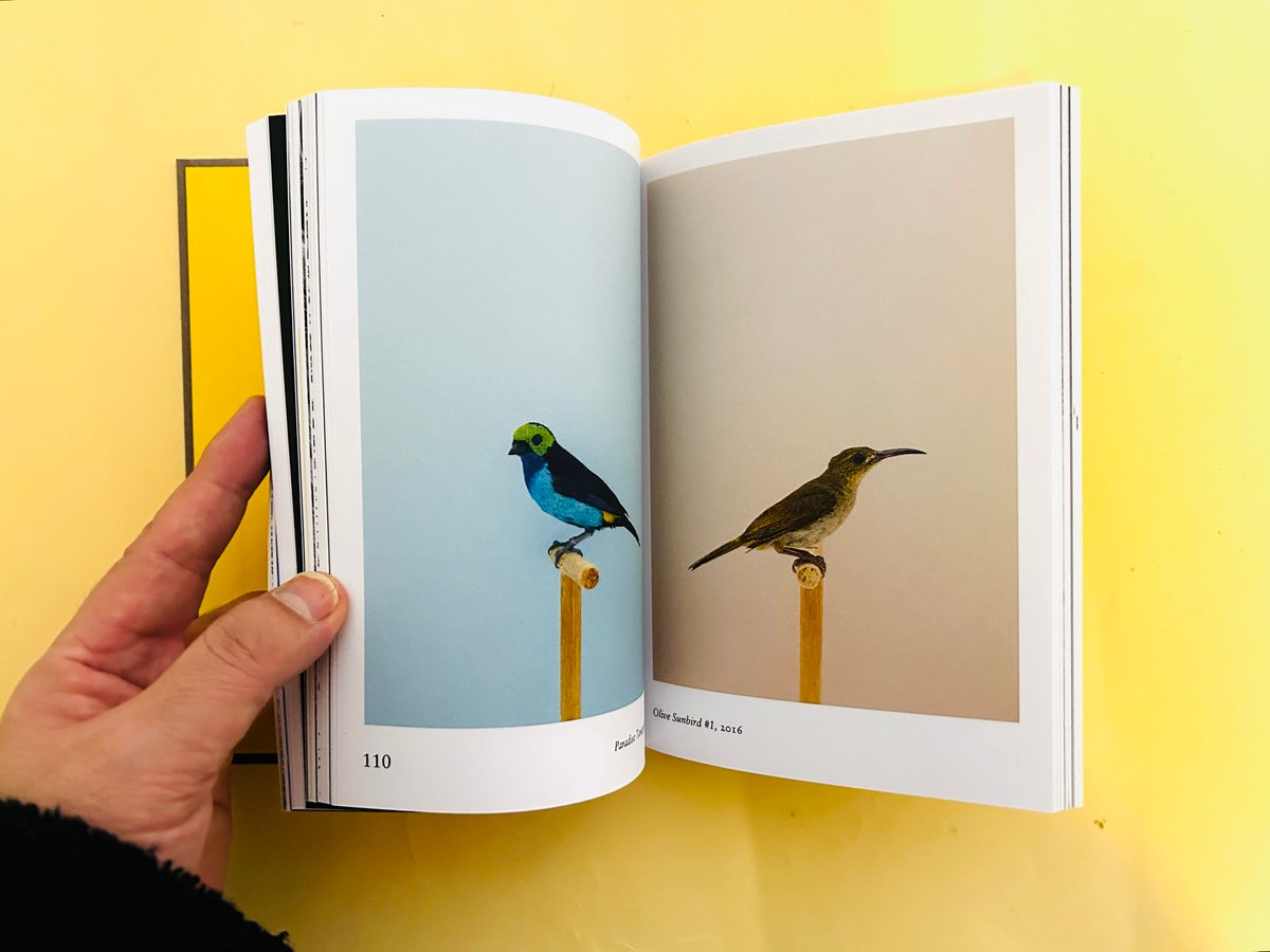 BRITONS Niall Shavin 写真集 洋書 BRITONS Niall Shavin 写真集