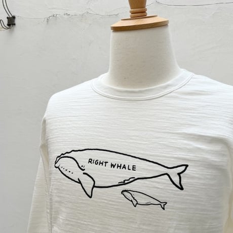 【メンズ】u.m.i sunrise ( ユーエムアイサンライズ) スラブ生地　長袖　ベーシックTシャツ　クジラの親子 　Y-1050LST