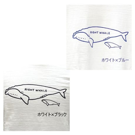 【メンズ】u.m.i sunrise ( ユーエムアイサンライズ) スラブ生地　長袖　ベーシックTシャツ　クジラの親子 　Y-1050LST