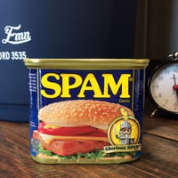 SPAM缶の貯金箱