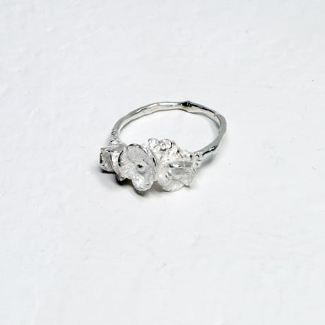 "poppy ring" wh