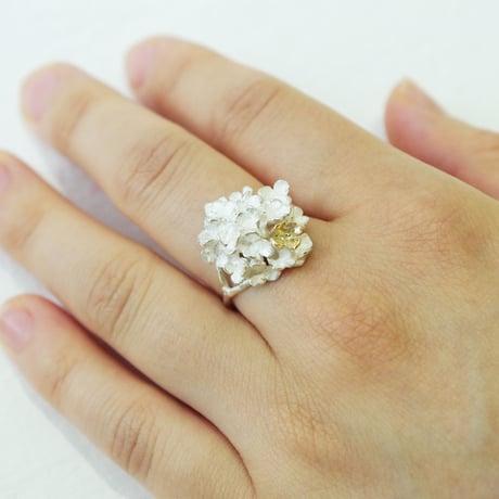 "hydrangea ring"