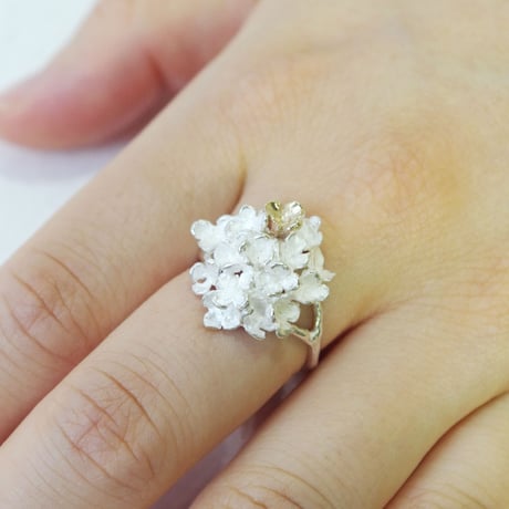 "hydrangea ring"