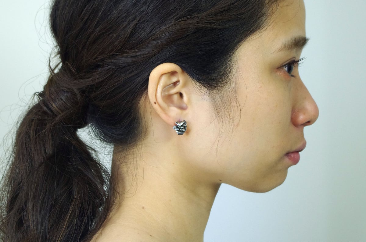 grifola pierce