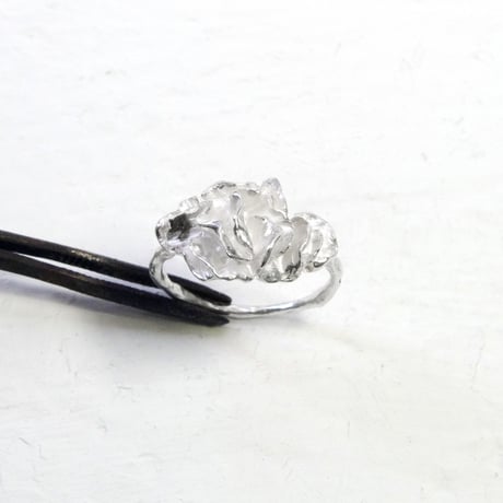 "auri ring" wh large
