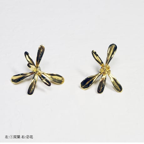 "gnaph pierce" gold